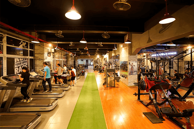 Phòng tập Aesthetic Ultimate Fitness – AUF